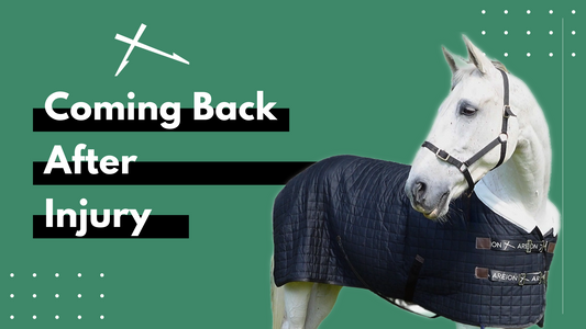 The Best Approach to Bring Your Horse Back into Work after Injury