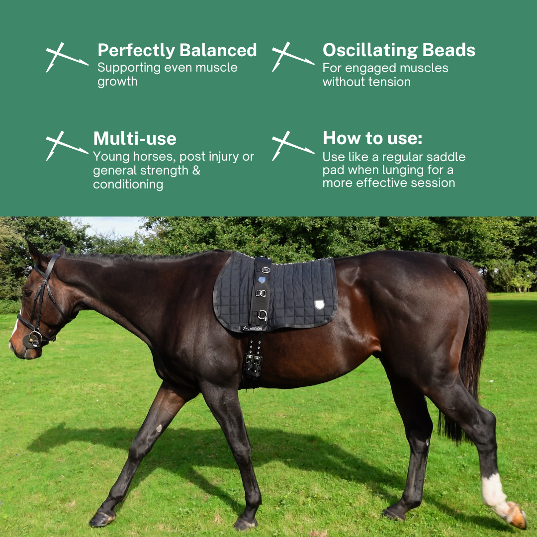 Areion Complete Lunging System