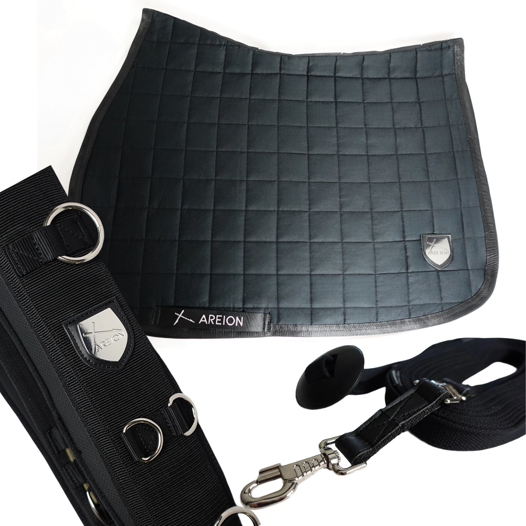 Lunging Set Areion Complete Lunging System – Areion Systems Ltd